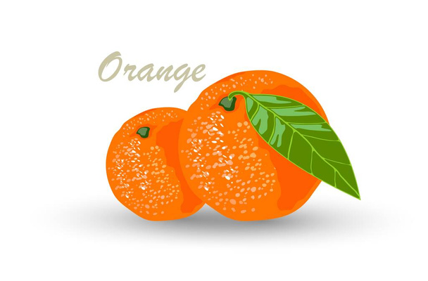 Cartoon juicy orange fruit - Вектор, зображення