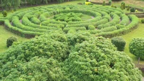 Blick auf den Garten aus der Drohne - Filmmaterial, Video
