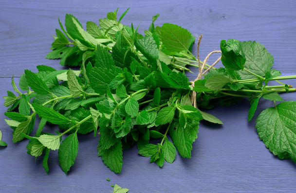 bunch of green mint on a blue wooden  background, fragrant spice for cocktails and desserts, close up - Zdjęcie, obraz