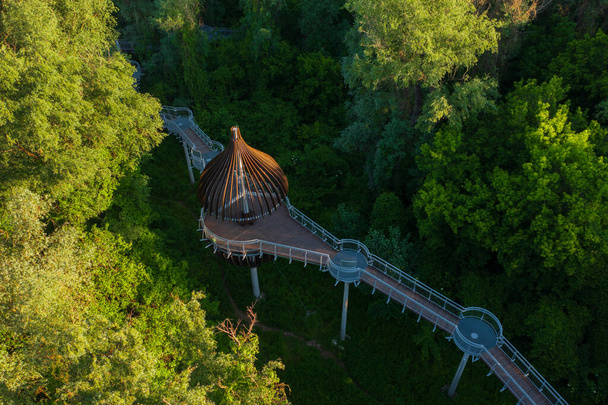 Mako, Hungary - Aerial view about canopy walkway near river Maros. - Photo, Image