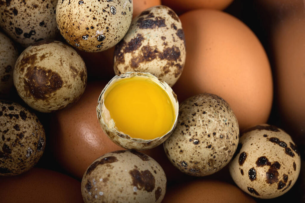 Крупним планом курячі та перепелині яйця. Здорова їжа
 - Фото, зображення