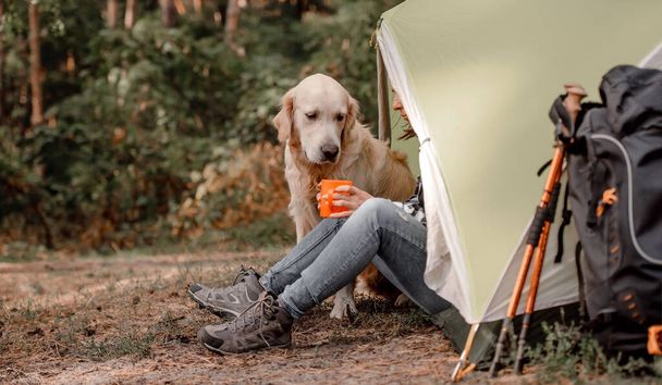 Camping in mountains forest with golden retriever dog - Fotografie, Obrázek