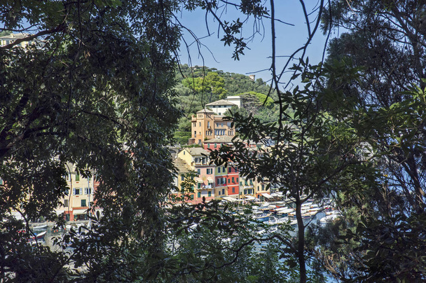 Панорама Портофіно, невелике італійське рибальське село, провінція Генуя, Італія. Місце відпочинку з мальовничою гаванню, з знаменитістю і художніми відвідувачами. - Фото, зображення