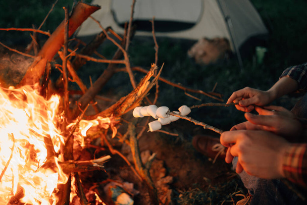 Cucinare marshmallow su un fuoco nella foresta su bastoncini di legno. I turisti friggono i marshmallow sul fuoco di notte mentre sono seduti vicino alla tenda. Fiamma. - Foto, immagini