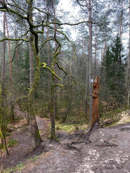 Tündér fából készült szobra a tündérút szélén, Virton, Luxemburg, Belgium - Fotó, kép