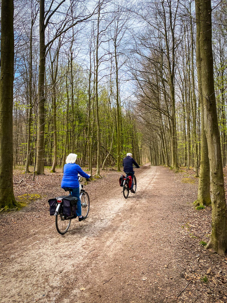 Dois idosos caucasianos a andar de bicicleta na floresta de Sonian, perto de Bruxelas aera, Bélgica - Foto, Imagem