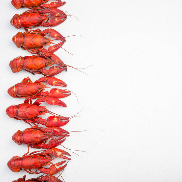White concrete background with border made from crayfishes,  top view, square format - Fotó, kép