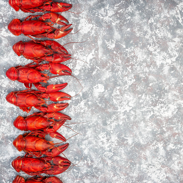 Border made from crayfishes on a gray white concrete background,  top view, square format - 写真・画像
