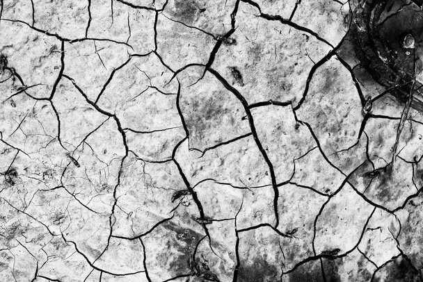 Beautiful texture of cracked soil after rain - Photo, Image