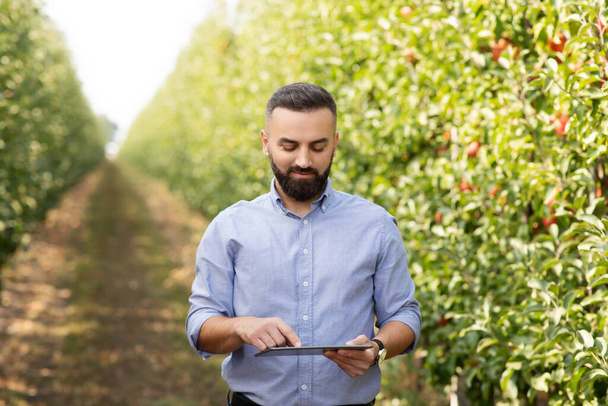 Летом на фруктовой ферме работают современный бизнесмен и смарт-устройство. Сезон урожая - Фото, изображение