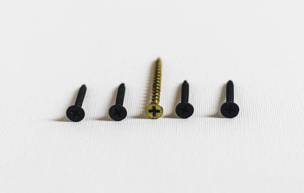 Close up shot of different types of screws - Photo, Image