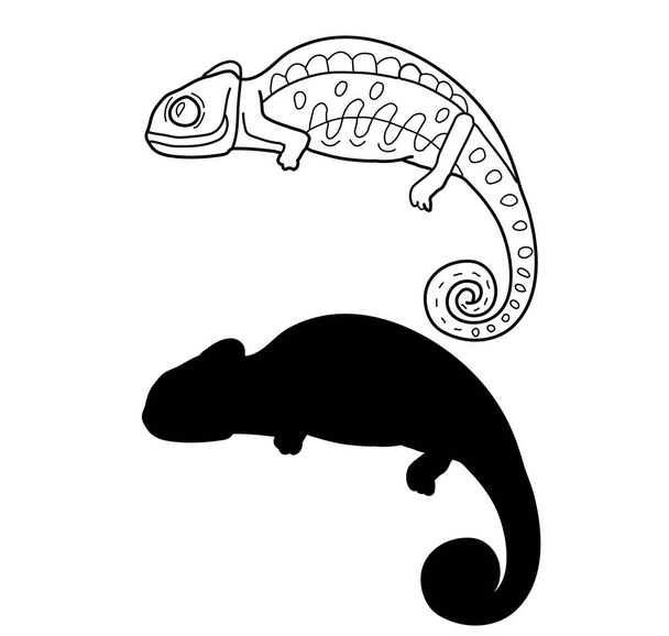Chameleon, lizard illustration. Line art. Vector illustration on white background. Two versions, black shape and black and white silhouette. Cut out - Vector, Image