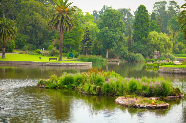Vue d'un petit lac dans un parc public des Jardins botaniques royaux Melbourne, Australie - Photo, image