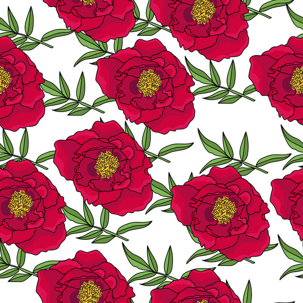 Patrón sin costuras de peonías de color rojo oscuro y vetoches verdes con hojas oblongas, motivos florecientes en una ilustración de vector de fondo blanco - Vector, Imagen