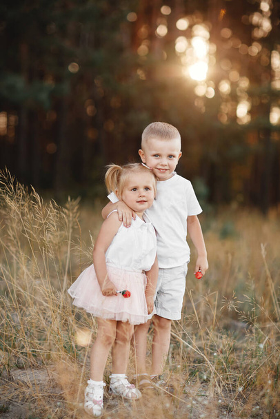 Сестра и брат играют, обнимаются в поле летом. дети играют на свежем воздухе и улыбаются на закате. счастливая семья. счастливое детство. - Фото, изображение