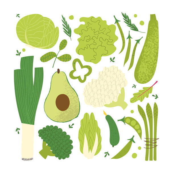 Vihreät vihannekset valmiina. Tasainen käsin piirretty kuvioitu kasvikset: salaatti, parsa, avokado, kurkku. - Vektori, kuva