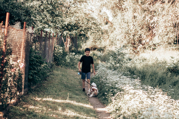 Genç çocuk tasmalı köpekle kırsalda çiçekli çayır boyunca yürüyor. - Fotoğraf, Görsel