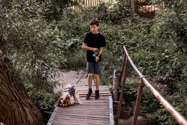 Teenage boy walks with dog on bridge in the countryside - Fotó, kép
