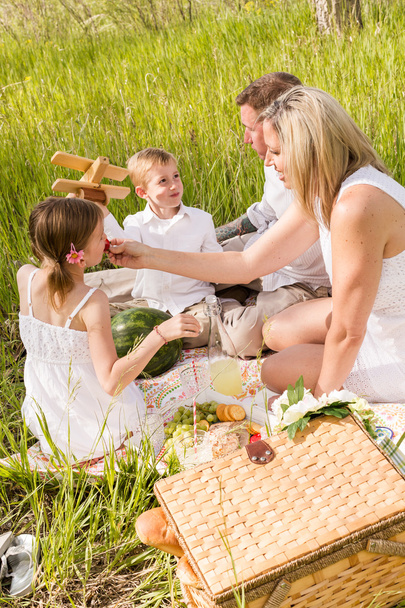 rodziny na letni piknik - Zdjęcie, obraz
