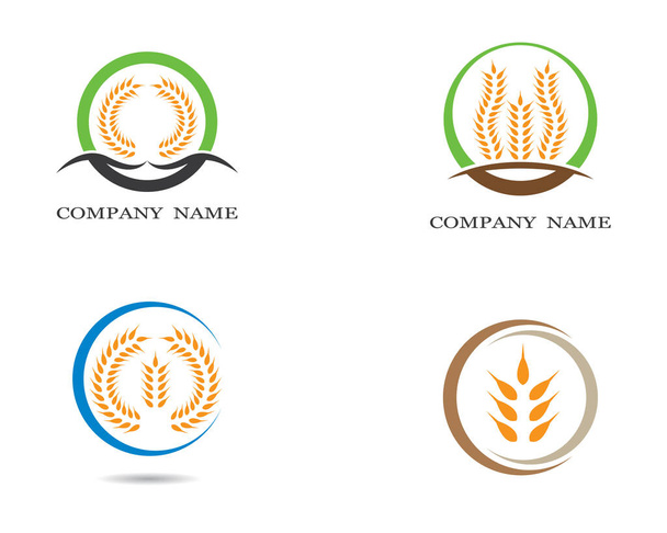 Landwirtschaft Weizen Logo Vorlage Vektor Icon Design - Vektor, Bild