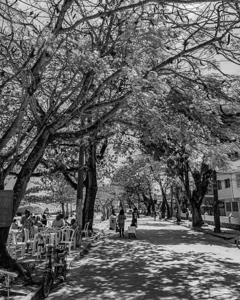 Paqueta-sziget, Rio de Janeiro, Brazília - CIRCA 2021: Tipikus városi környezet, a környék mindennapi életéből, Paquetában rögzítve. Fekete-fehér fénykép (monokróm) - Fotó, kép