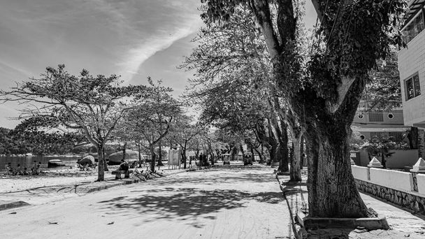 パケタ島,リオデジャネイロ,ブラジル- CIRCA 2021:パケタで記録された、近隣の日常生活からの典型的な都市設定。白黒写真（モノクロ）) - 写真・画像