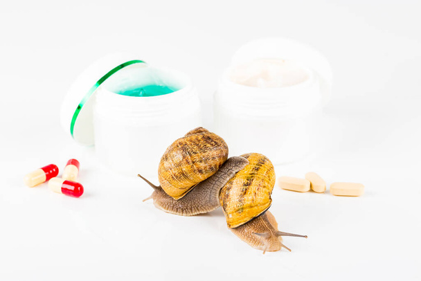 Cosmetics organic made with slaver of snail, very good for skin and health and fashion in Europe. Pot of cream, gel and white box with pills and snail around or on the products. Lifestyle beauty treatment - Foto, imagen