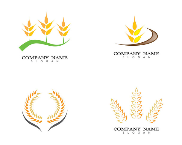 Modèle de logo de blé agriculture icône vectorielle design - Vecteur, image