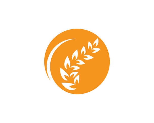 Agricultura logotipo do trigo modelo vetor ícone design - Vetor, Imagem