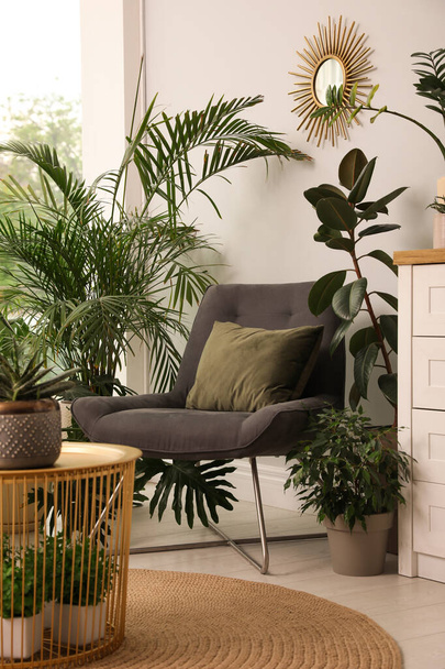Интерьер гостиной с удобным креслом и комнатными растениями - Фото, изображение