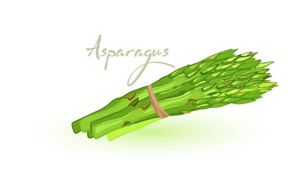 Cartone animato asparagi verdi freschi - Vettoriali, immagini