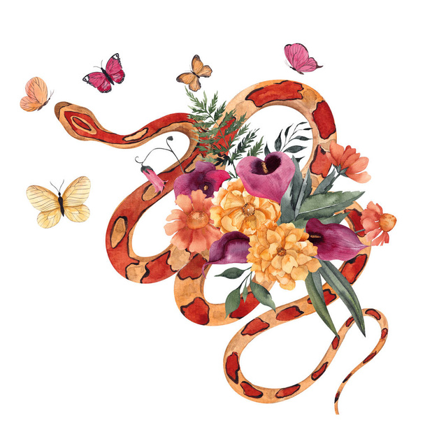 Watercolor illustration with snake and floral composition, isolated on white background - Photo, image