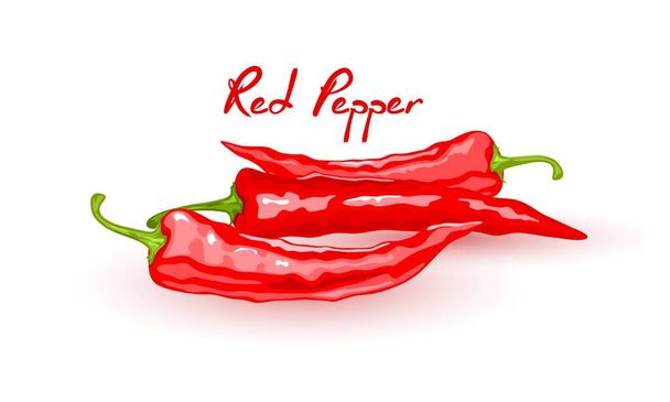 Cartoon rode chili peper - Vector, afbeelding