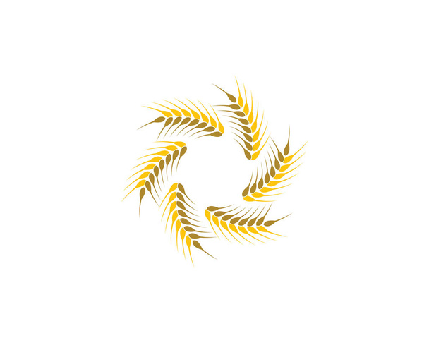 Сільське господарство пшениця Логотип Шаблон Векторний дизайн значка
 - Вектор, зображення