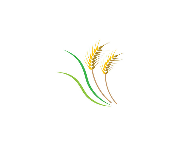 Landbouw tarwe logo template vector pictogram ontwerp - Vector, afbeelding