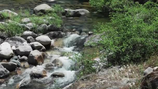 Ein felsiger Fluss mit Bäumen im Hintergrund - Filmmaterial, Video