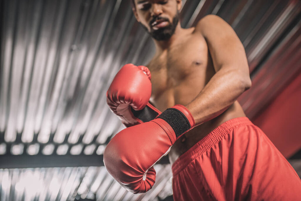 Dark-skinned kickboxer in red shorts and red boxing gloves - Fotografie, Obrázek