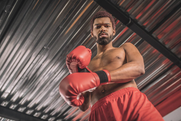 Kickboxer à la peau foncée en short rouge et gants de boxe rouges - Photo, image