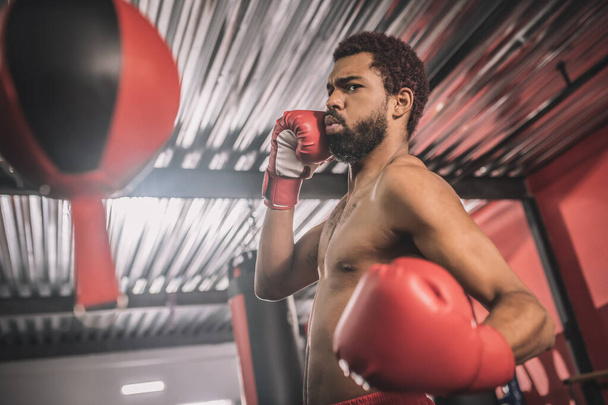 Kickboxer afro-américain ayant une séance d'entraînement dans une salle de gym et coups de pied le sac de sable - Photo, image