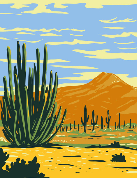 WPA plakat sztuki stenocereus thurberi rośnie w Organy Pipe Cactus National Monument znajduje się w Arizonie, Stany Zjednoczone i meksykańskim stanie Sonora wykonane w stylu zarządzania projektem prac. - Wektor, obraz