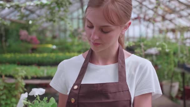 Ein junges Mädchen in einer Schürze arbeitet in einem Gewächshaus und verpflanzt einjährige Pflanzen und Blumen - Filmmaterial, Video