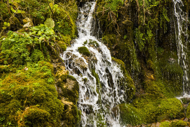 A beautiful shot of water cliffs and moss in a forest - Photo, Image