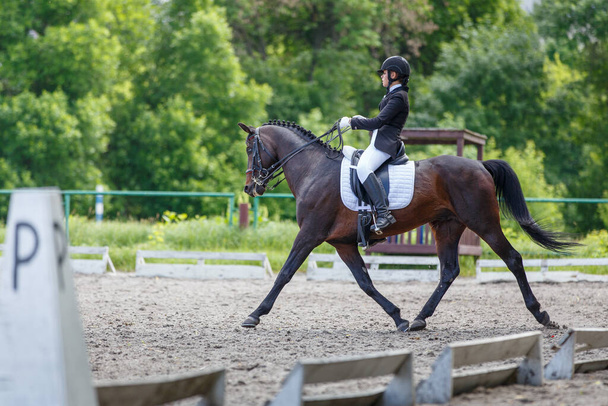 Young sportswoman riding horse on dressage test - Фото, зображення