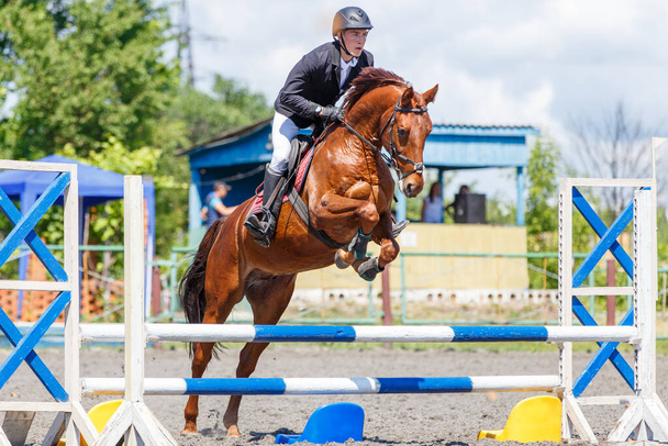 Young rider man jumping over the barrier - 写真・画像