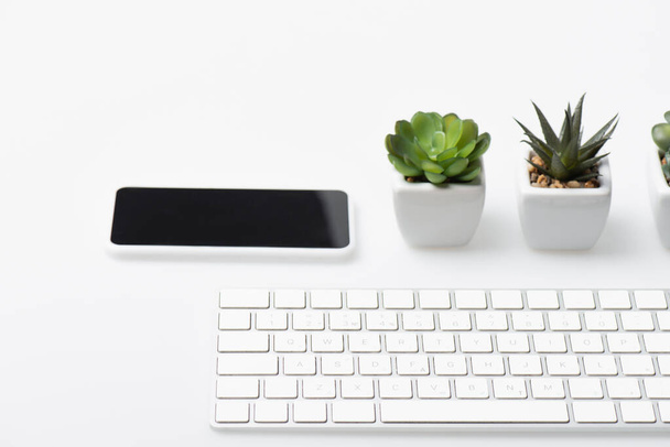 smartphone com tela em branco perto de plantas pequenas e teclado do computador no branco - Foto, Imagem