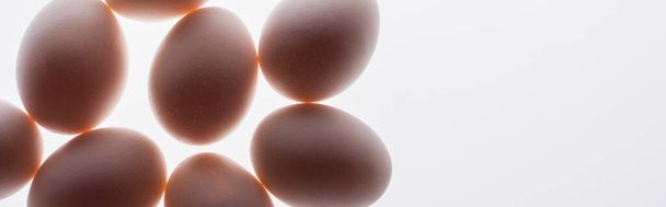 vista inferior de huevos crudos y orgánicos aislados en blanco, pancarta - Foto, Imagen