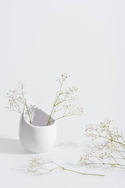 branches with blooming flowers in vase on white background - Foto, afbeelding