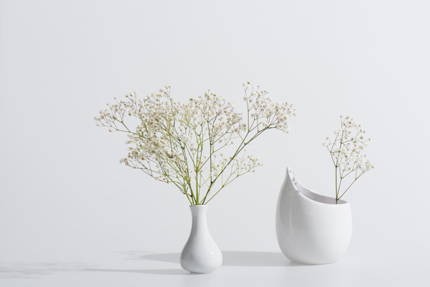 branches with blooming flowers in vases on white background - Φωτογραφία, εικόνα