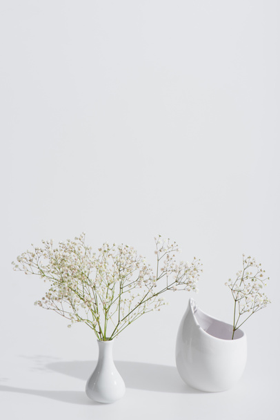 branches with blossoming flowers in vases on white background - Photo, image