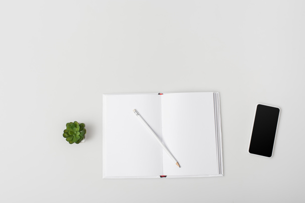 Notizbuch von oben mit Bleistift, grüner Pflanze und Smartphone mit leerem Bildschirm isoliert auf weiß  - Foto, Bild